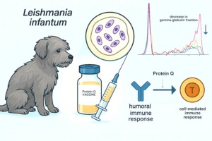 graphical abstract therapeutic vaccination