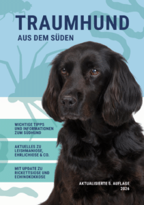 Traumhundbroschuere_Cover_1008x1432